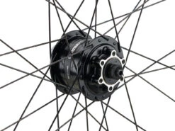 Mountain Alivio Disc 6-Loch DT Swiss 466d 29" Laufradsatz -Fahrradteile Geschäft 399626